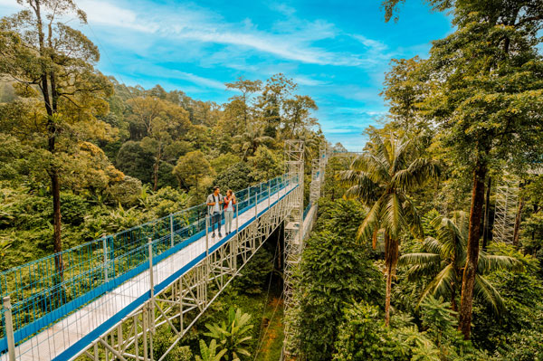 Jelajahi Destinasi Outdoor Paling Seru di Selangor adventurous walk at frim landscape