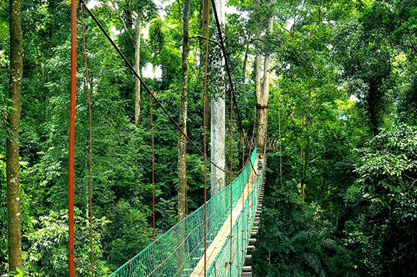 Liburan ke Crocker Range Park, Surga Pecinta Alam di Sabah crocker range landscape 2