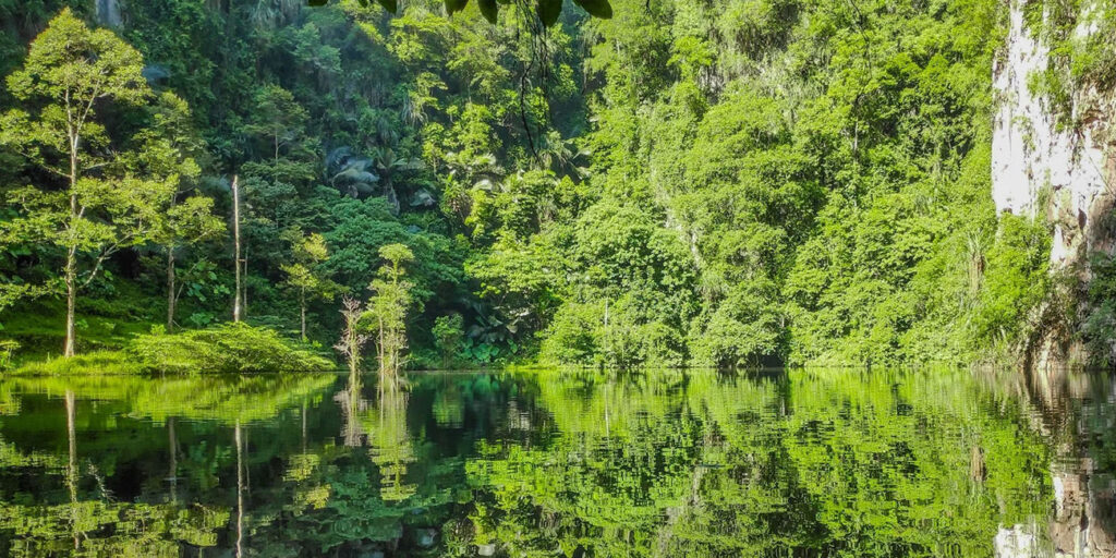 Pesona Tasik Cermin yang Memukau pesona tasik cermin yang memukau cover