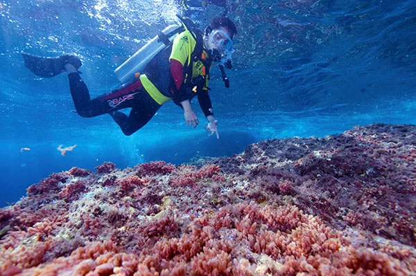 Hidden Gems Malaysia: 4 Pulau Tersembunyi yang Wajib Anda Jelajahi pulau tenggol terengganu landscape