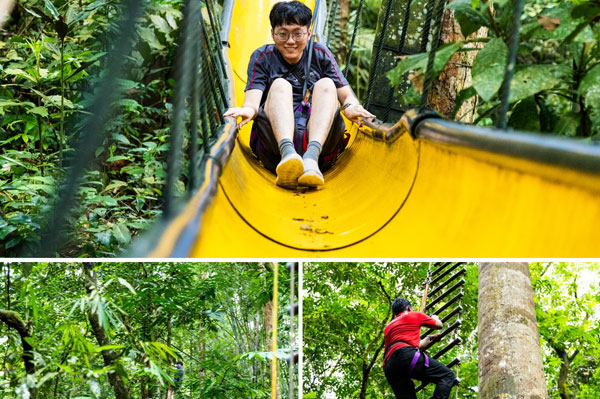 Jelajahi Destinasi Outdoor Paling Seru di Selangor skytrex landscape