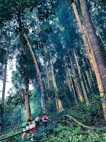 Jelajahi Destinasi Outdoor Paling Seru di Selangor swimming and hiking at kanching waterfall potrait1