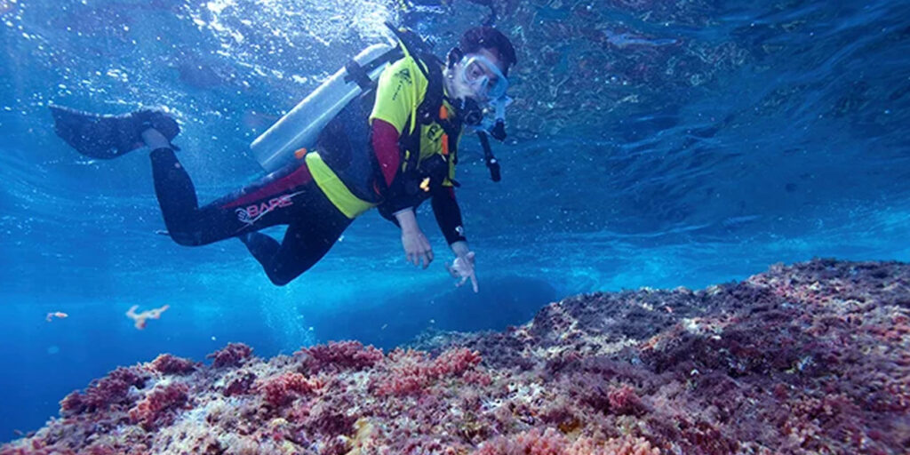 Hidden Gems Malaysia: 4 Pulau Tersembunyi yang Wajib Anda Jelajahi cover 2