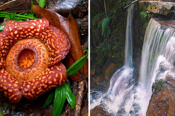 Maliau Basin: Permata Alam yang Hilang di Sabah landscape 2