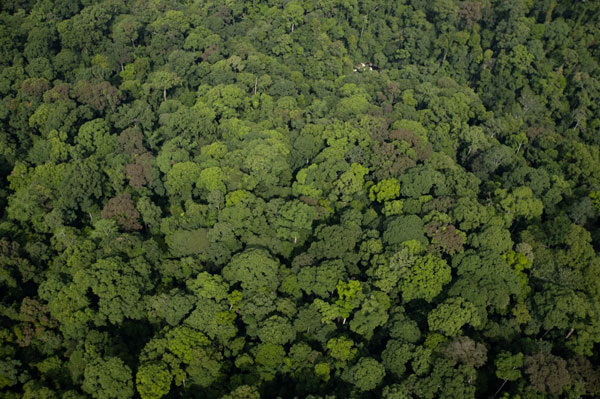 Maliau Basin: Permata Alam yang Hilang di Sabah landscape 2