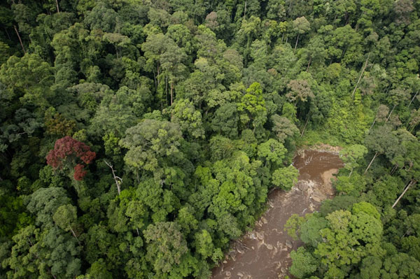 Maliau Basin: Permata Alam yang Hilang di Sabah landscape 3