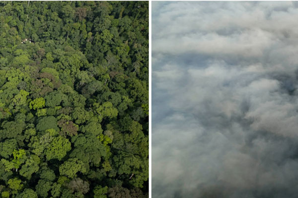 Maliau Basin: Permata Alam yang Hilang di Sabah landscape 4
