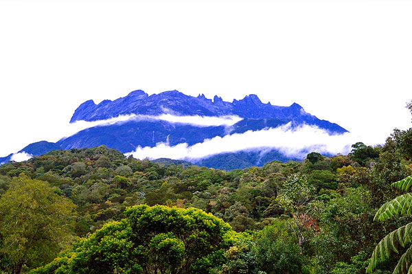 Gunung Kinabalu: Situs Warisan Dunia Dengan Puncak Tertinggi Asia Tenggara taman kinabalu