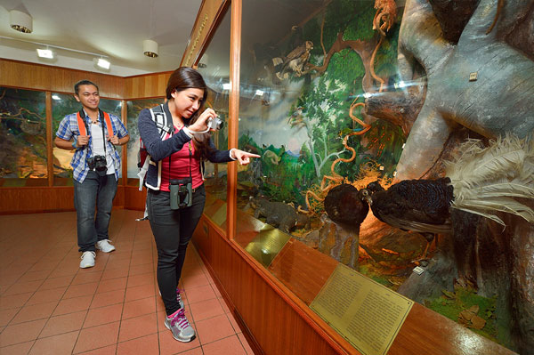 Gunung Kinabalu: Situs Warisan Dunia Dengan Puncak Tertinggi Asia Tenggara wisata taman kinabalu