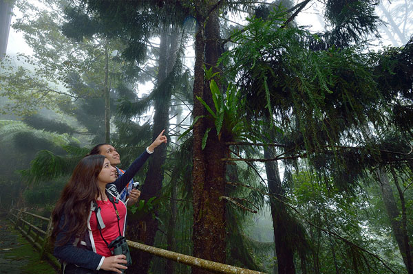 Gunung Kinabalu: Situs Warisan Dunia Dengan Puncak Tertinggi Asia Tenggara wisata taman kinabalu