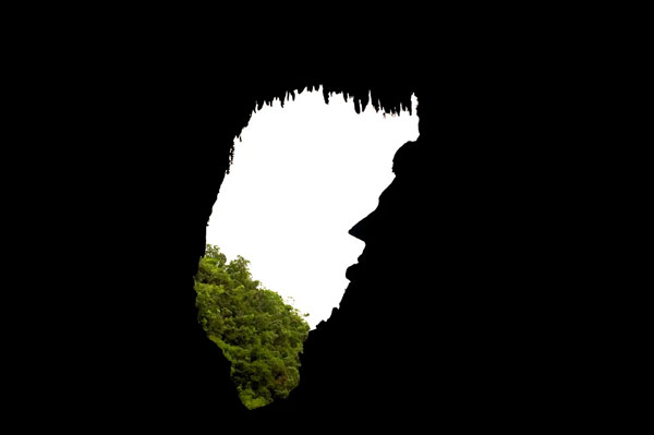 Gunung Mulu National Park, Destinasi Alam Eksotis dengan Gua Terbesar di Dunia cave landscape