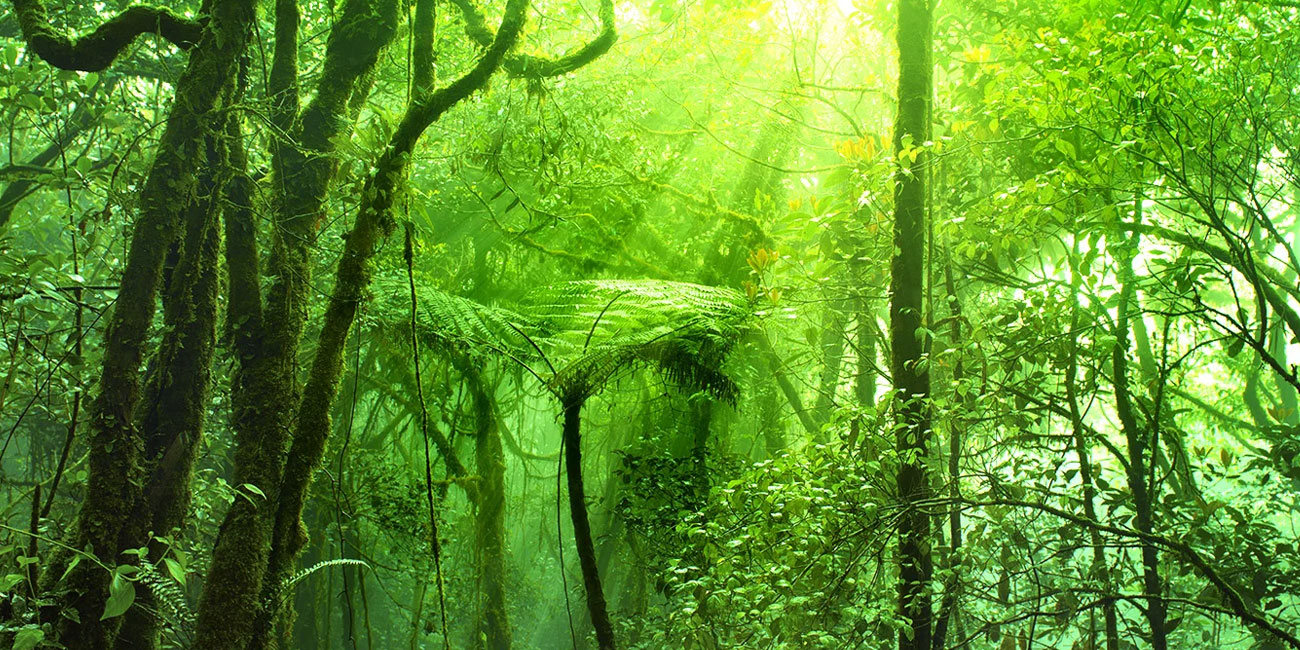 cover.jpg recovered